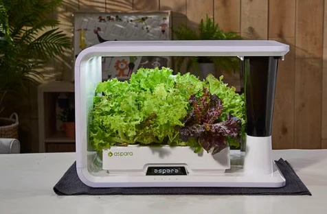 Aspara Hydroponic Smart Growing System - Mini Indoor Garden - Image 3